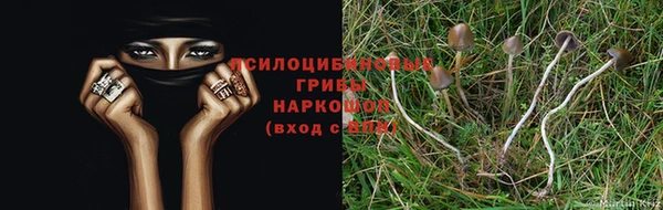 кокаин Богородицк