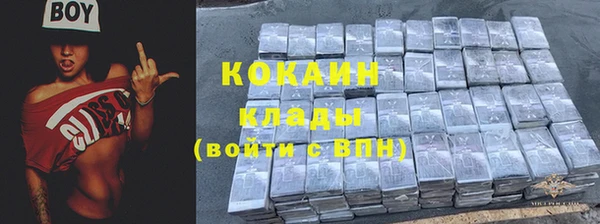 мескалин Богданович