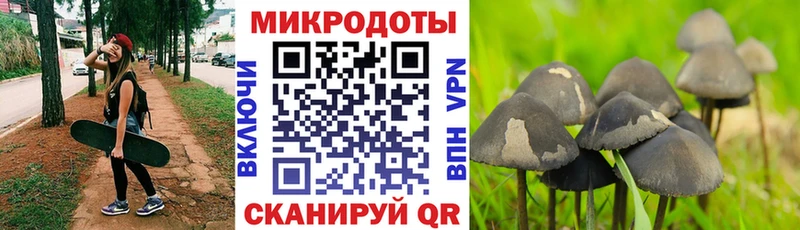 Галлюциногенные грибы Cubensis  где купить наркоту  даркнет формула  Верхняя Пышма 