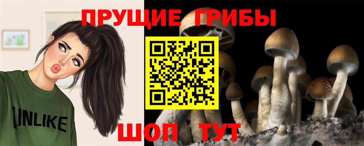Галлюциногенные грибы Magic Shrooms  купить наркотики сайты  Верхняя Пышма 