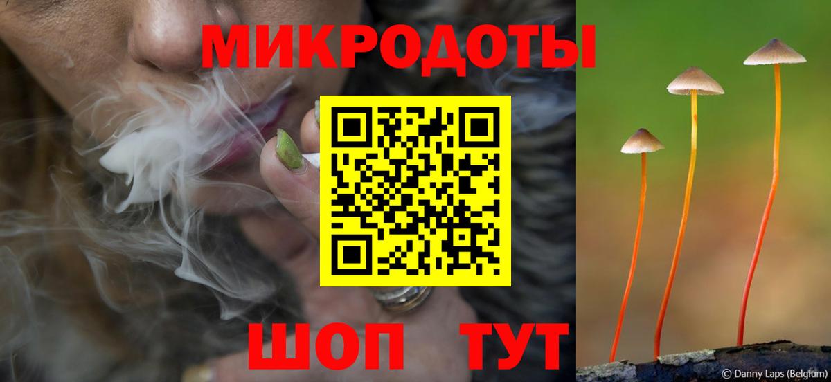 Галлюциногенные грибы Psilocybine cubensis  Вход с VPN  Верхняя Пышма 