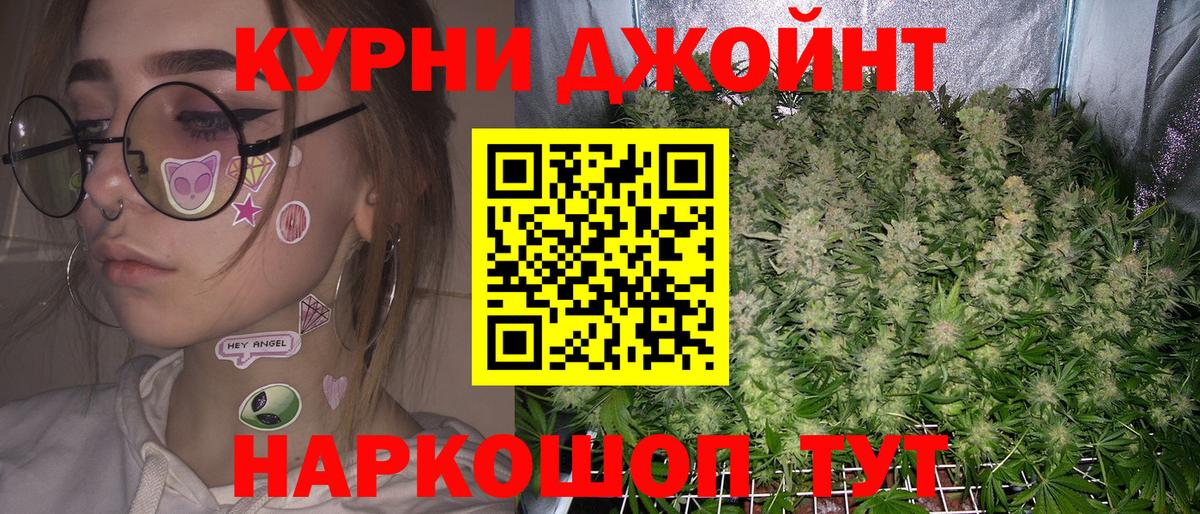 Марихуана план  Бошки Шишки ГИДРОПОН  Верхняя Пышма 